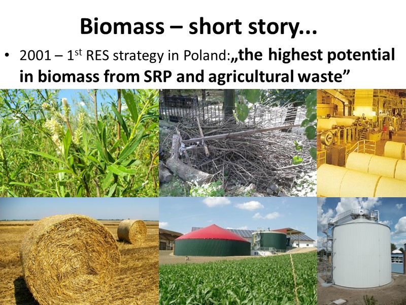 Biomass – short story... 2001 – 1st RES strategy in Poland:„the highest potential in